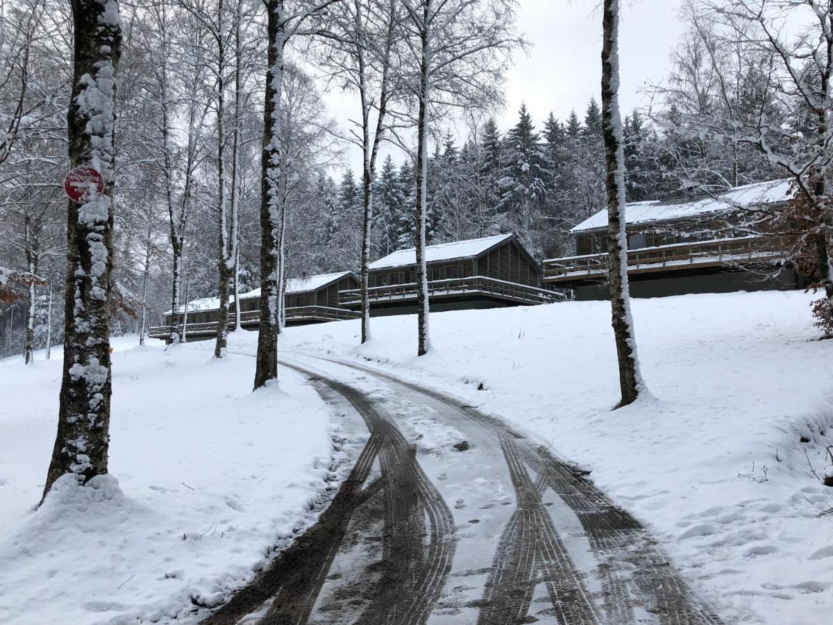 Chalet De Charme, Le "Caribou Lodge", Eifel Belge Бюллінген Екстер'єр фото