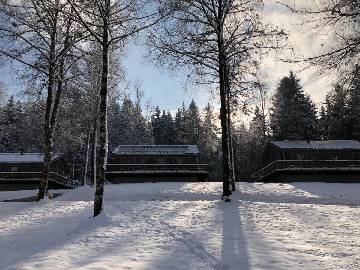 Chalet De Charme, Le "Caribou Lodge", Eifel Belge Бюллінген Екстер'єр фото