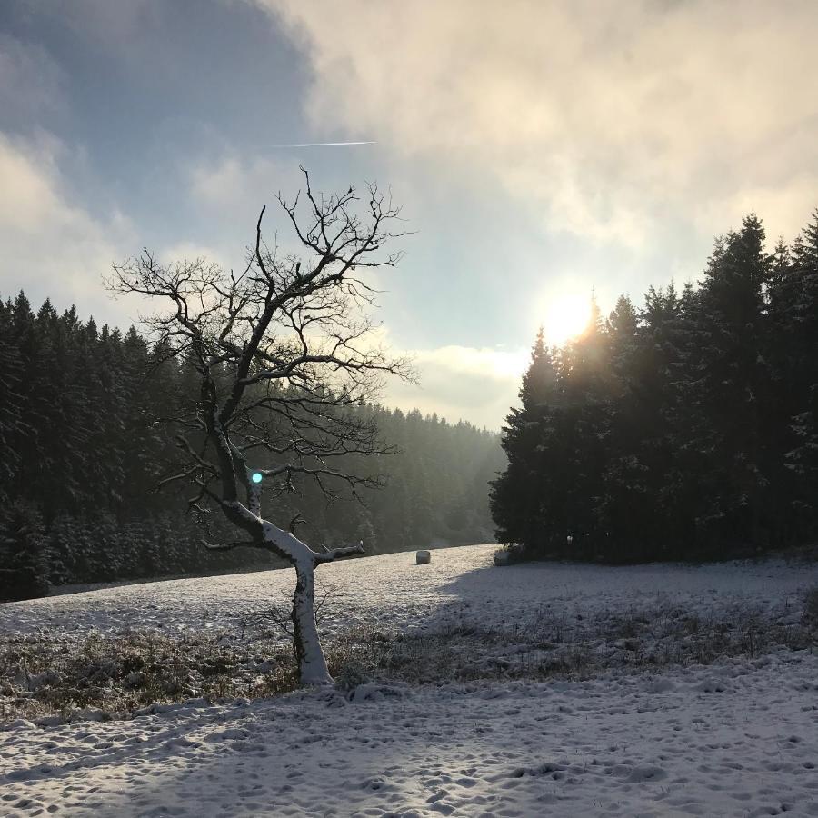 Chalet De Charme, Le "Caribou Lodge", Eifel Belge Бюллінген Екстер'єр фото